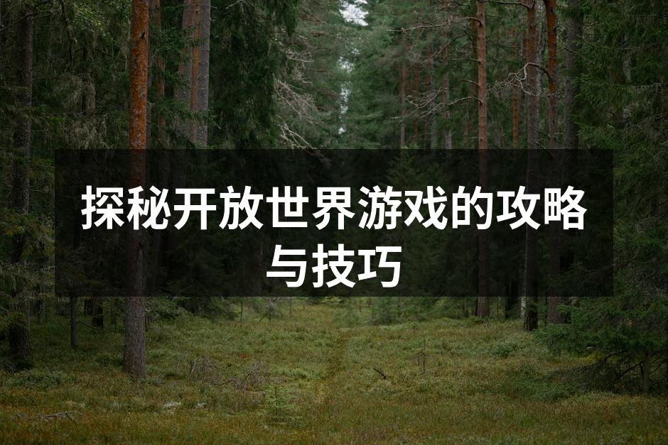 探秘开放世界游戏的攻略与技巧