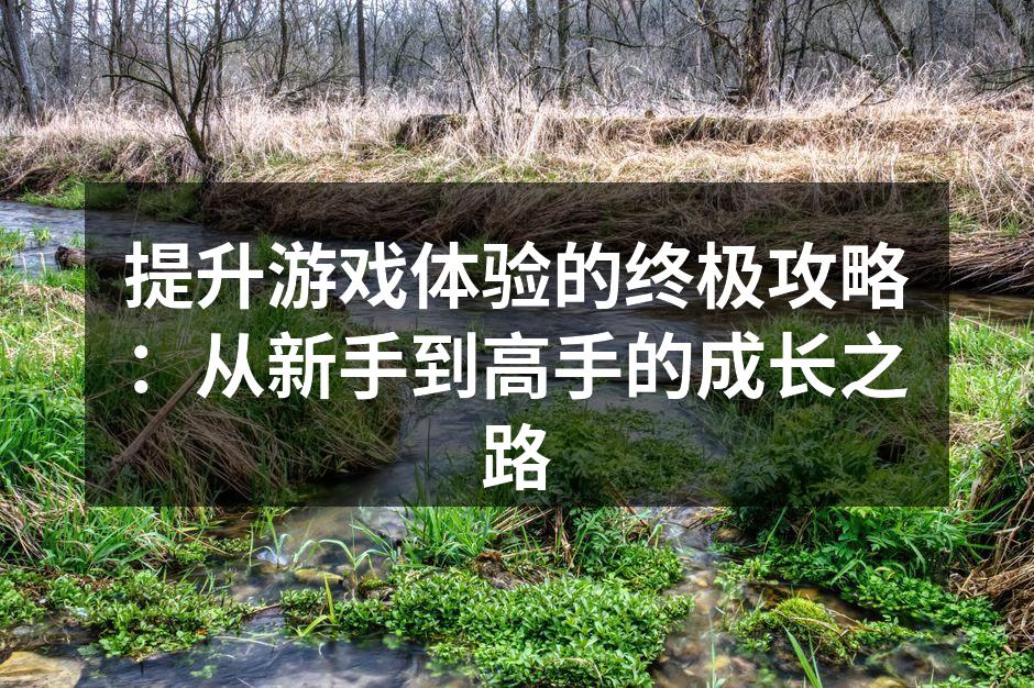 提升游戏体验的终极攻略：从新手到高手的成